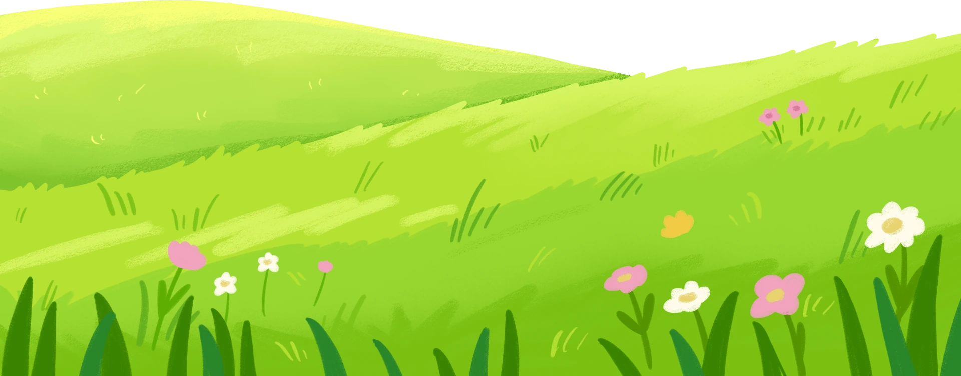 tami landscape banner